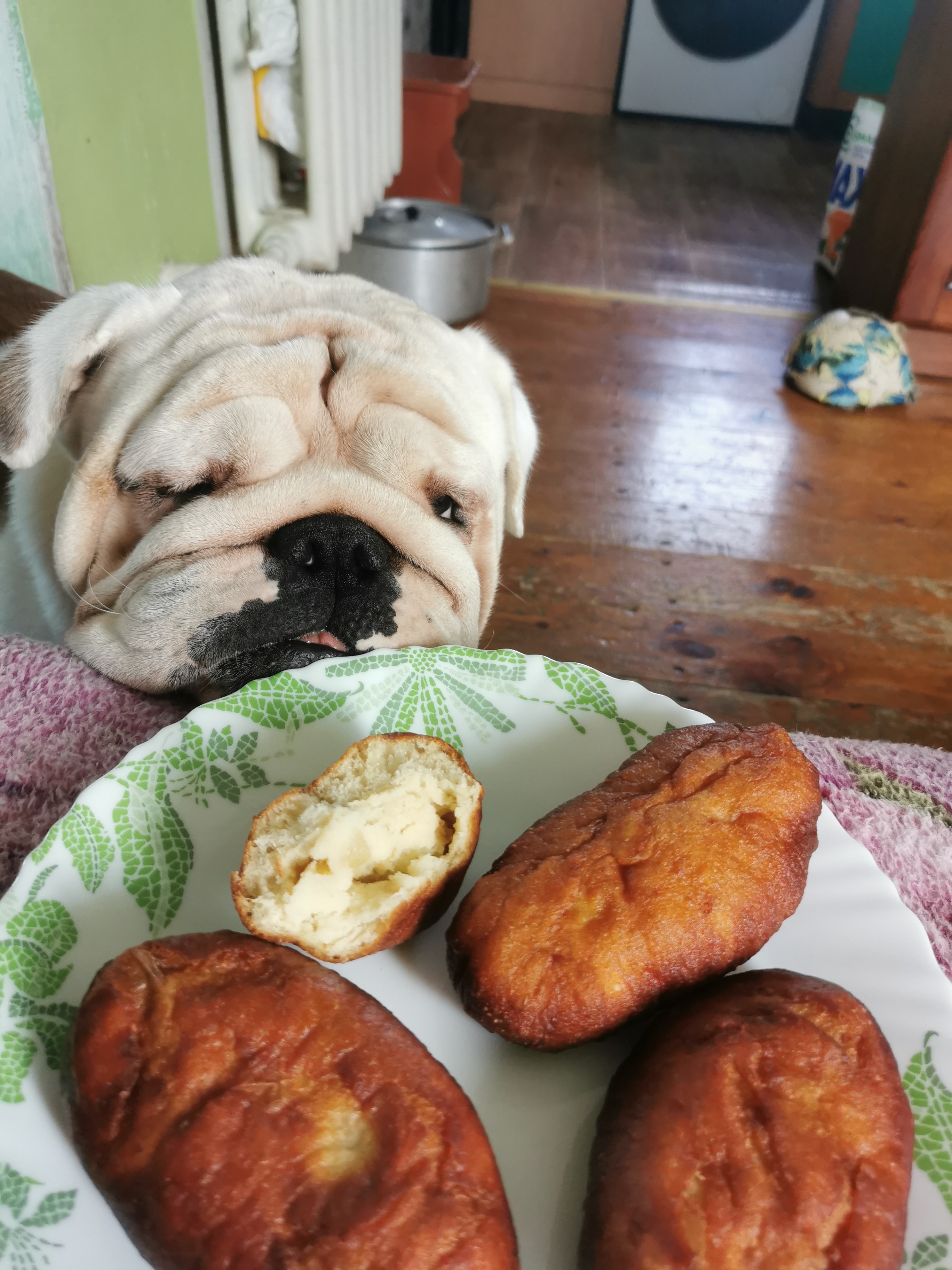 Мои домашние питомцы - Бодибилдинг форум AnabolicShops