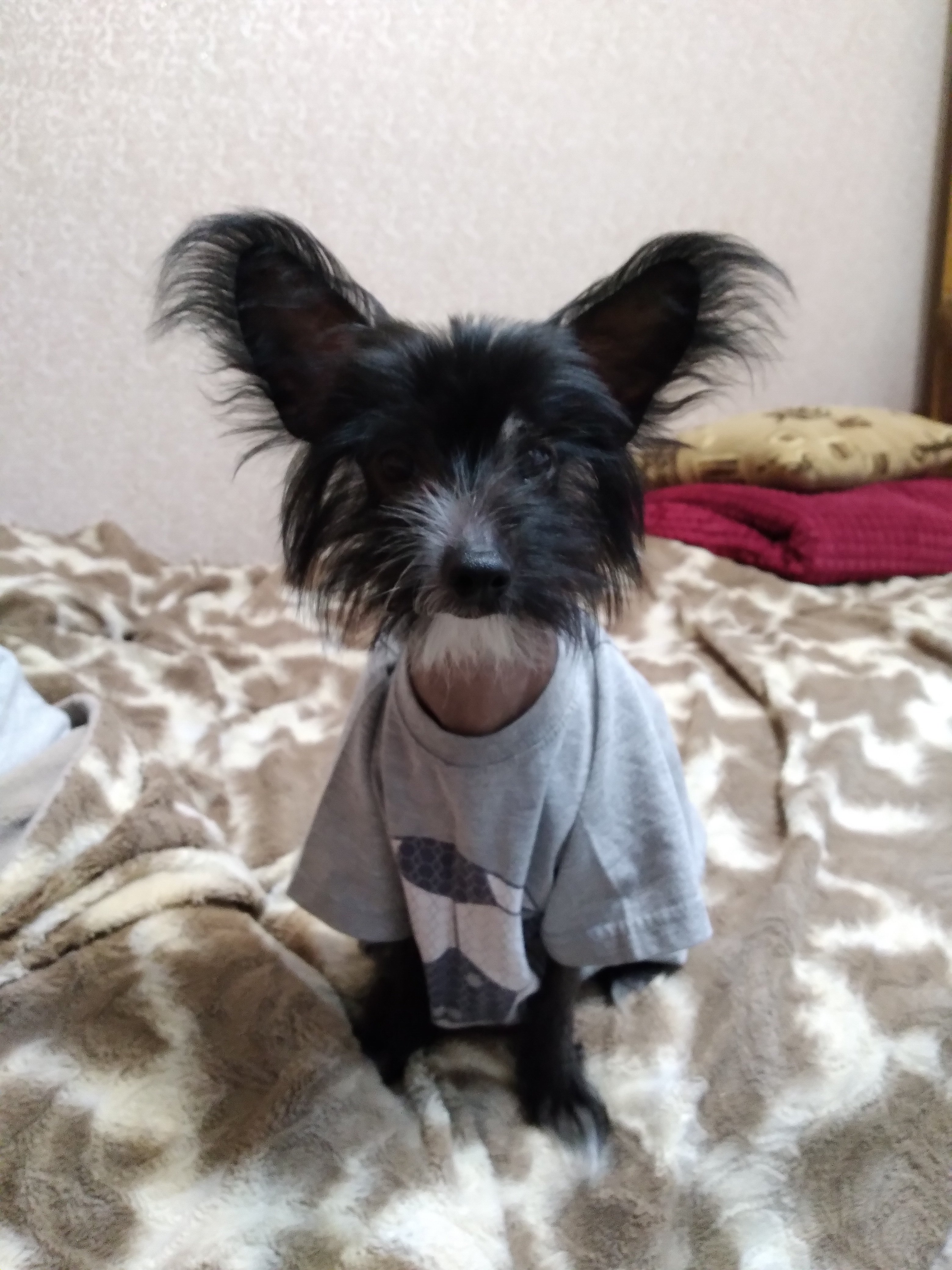 Мои домашние питомцы - Бодибилдинг форум AnabolicShops