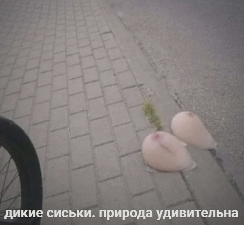 Приколюшные картинки - Бодибилдинг форум AnabolicShops