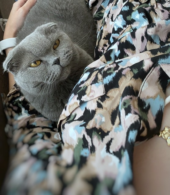 Мои домашние питомцы - Бодибилдинг форум AnabolicShops