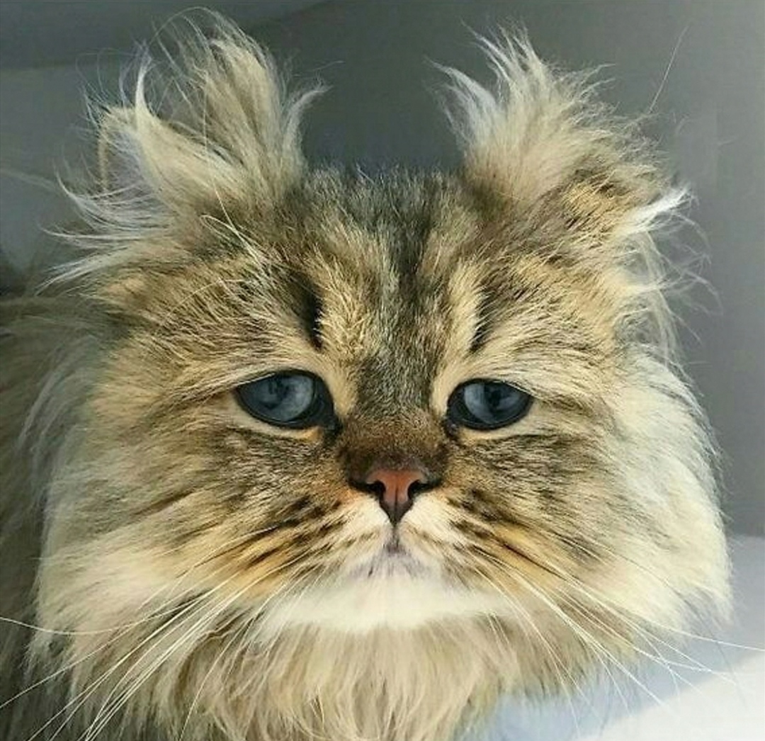 bestpharma.life - Бодибилдинг форум AnabolicShops