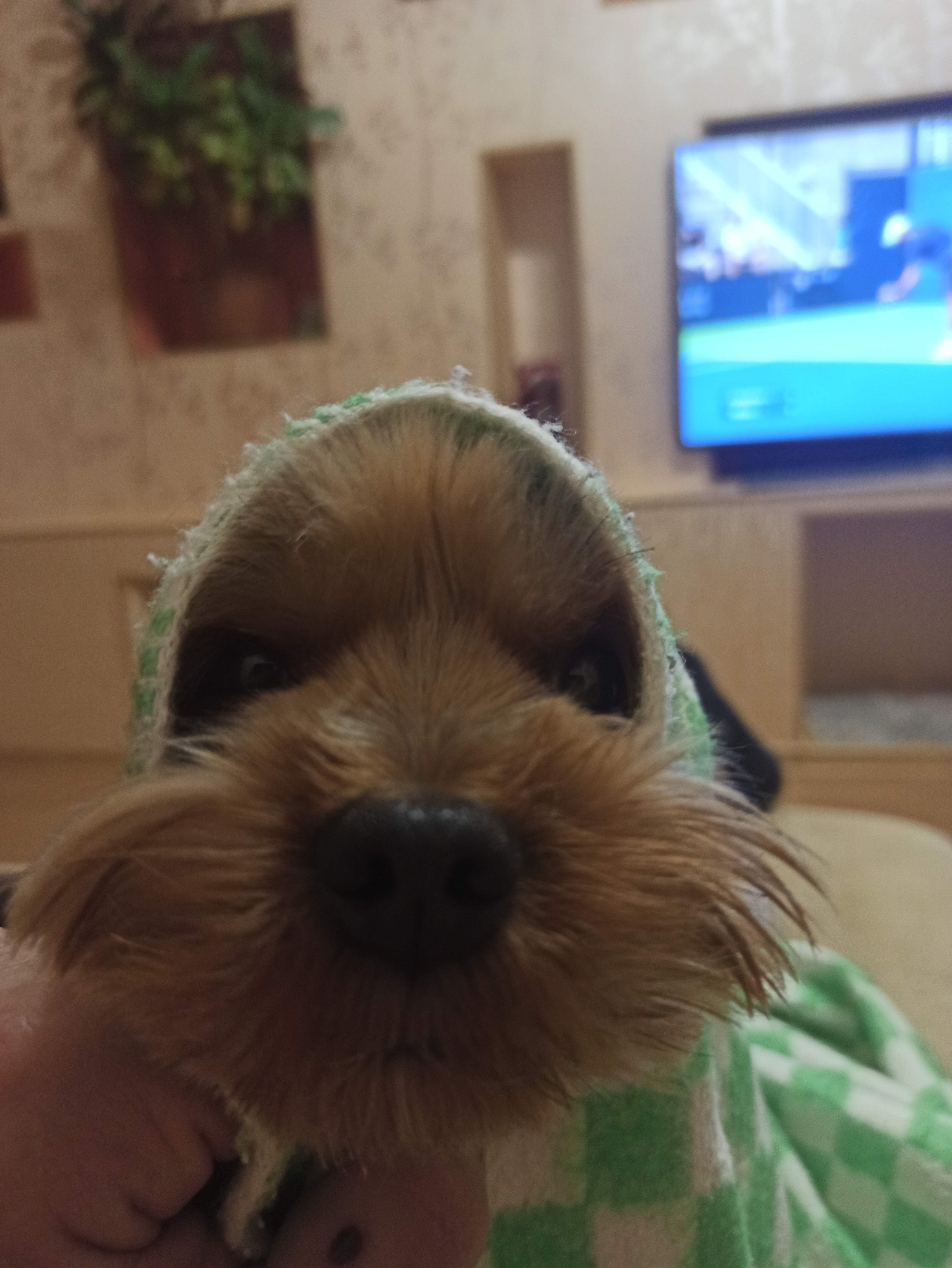 Eurotropin Hgh® EPF ™ ООО «Кишинёвский Эндокринный Завод » - Бодибилдинг форум AnabolicShops