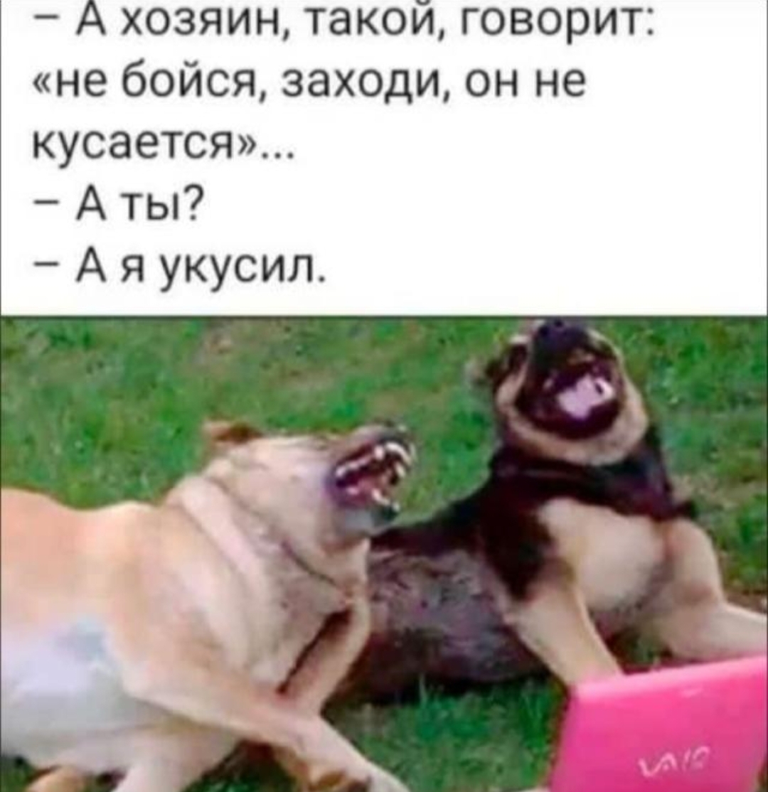 Анекдоты обо всем - Бодибилдинг форум AnabolicShops