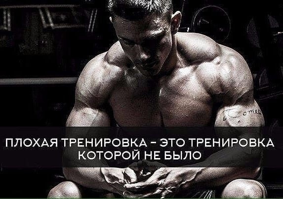 Курилка- разговоры на любые темы - Бодибилдинг форум AnabolicShops