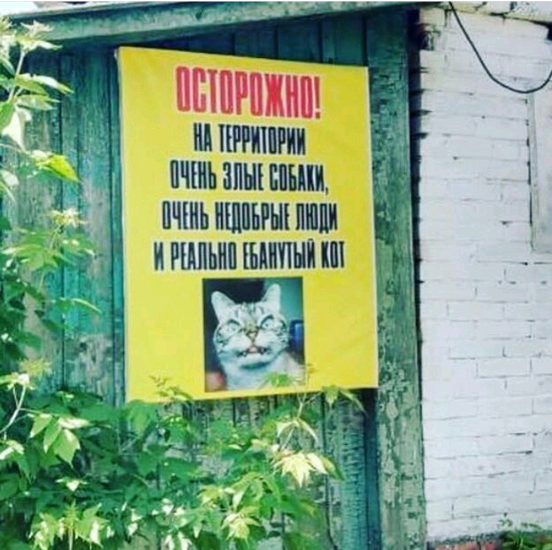 Курилка- разговоры на любые темы - Бодибилдинг форум AnabolicShops