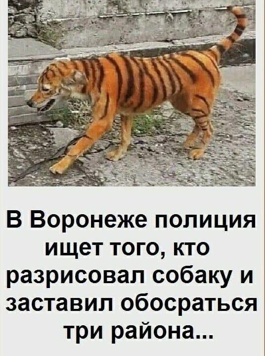 Приколюшные картинки - Бодибилдинг форум AnabolicShops