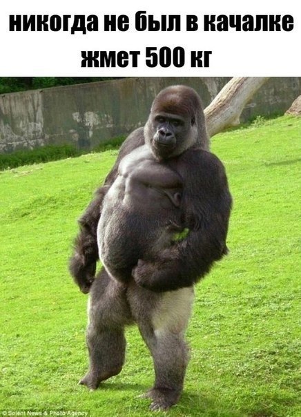 Курилка- разговоры на любые темы - Бодибилдинг форум AnabolicShops