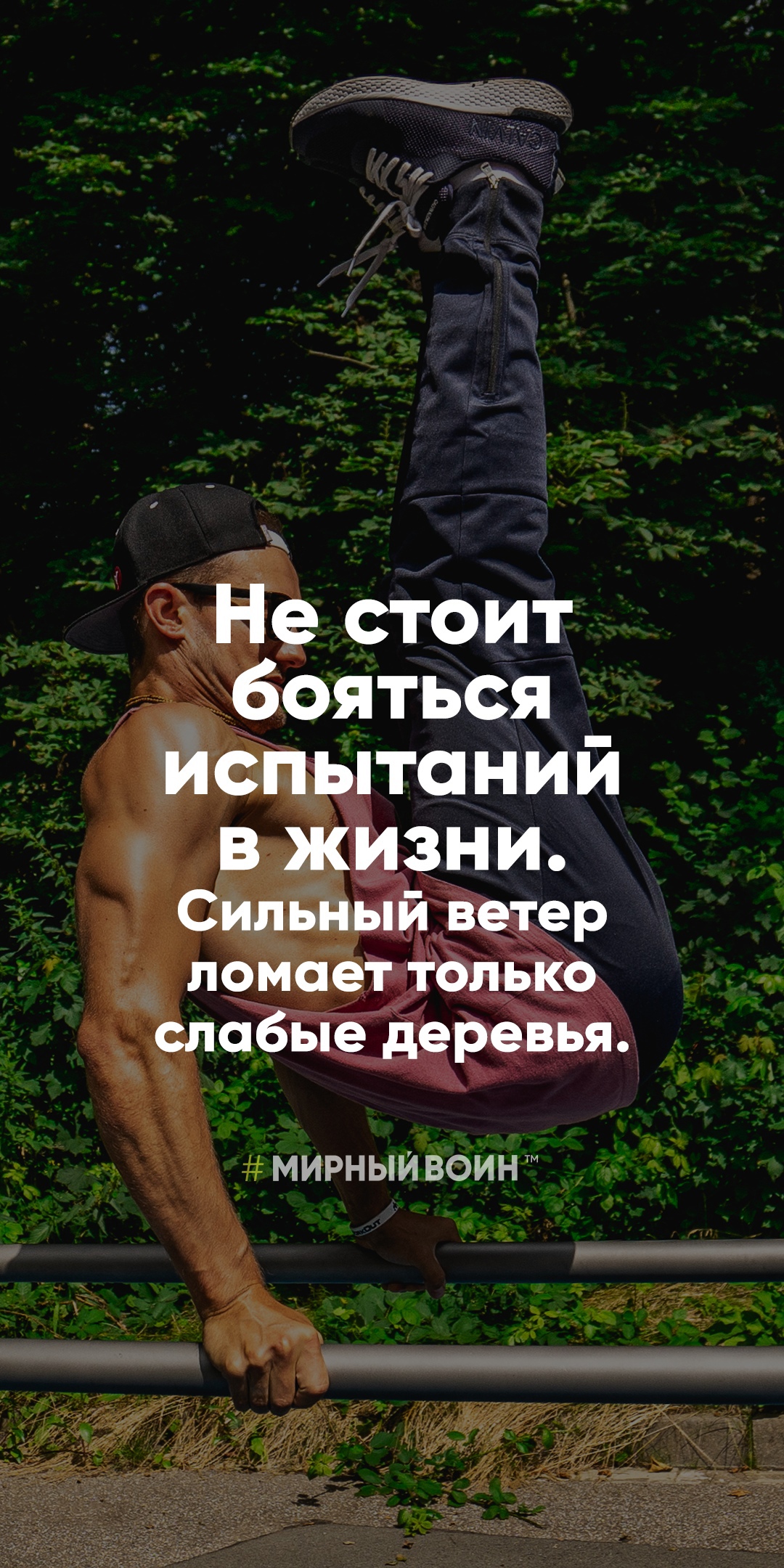 StoreGenerics.ru-Дженерики-все для ПКТ - Бодибилдинг форум AnabolicShops