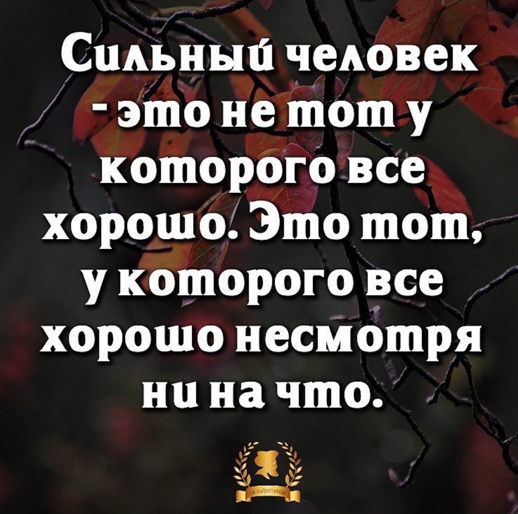 StoreGenerics.ru-Дженерики-все для ПКТ - Бодибилдинг форум AnabolicShops