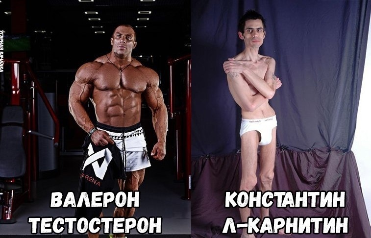 Курилка- разговоры на любые темы - Бодибилдинг форум AnabolicShops