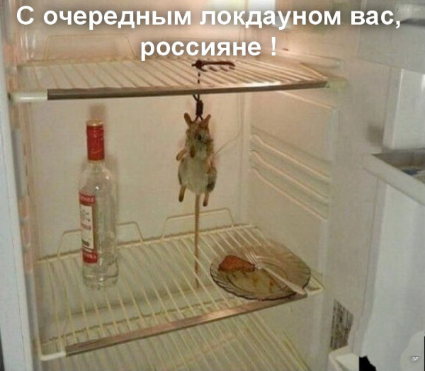 Приколюшные картинки - Бодибилдинг форум AnabolicShops