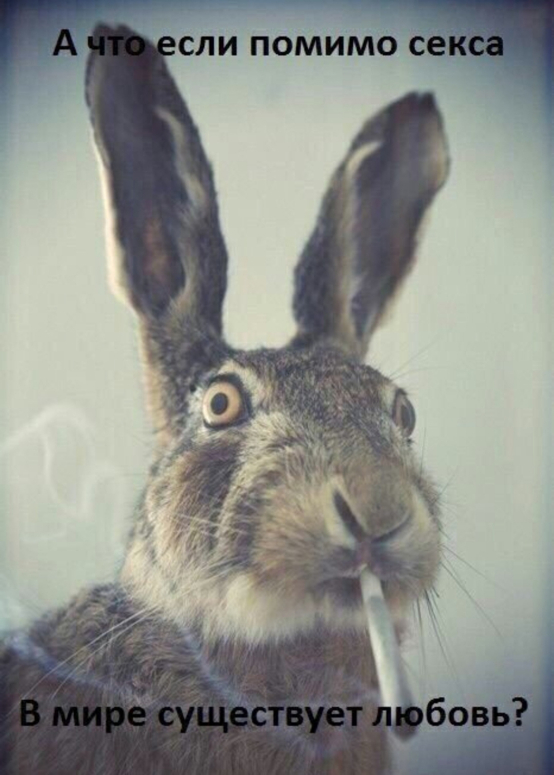 Курилка- разговоры на любые темы - Бодибилдинг форум AnabolicShops