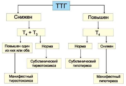 Повысить эффективность использования Гормона Роста - Бодибилдинг форум AnabolicShops