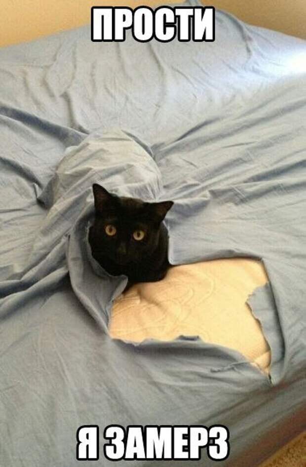 Арестован чемпион IFBB и участник Олимпии в деле о наркотиках на $32 000 000 - Бодибилдинг форум AnabolicShops