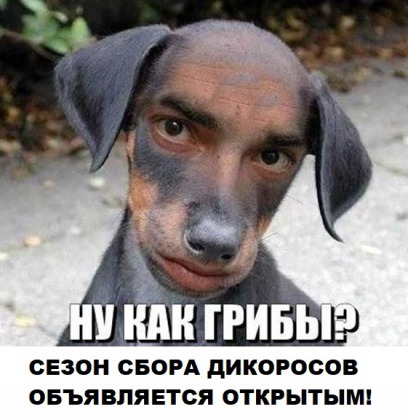 Анекдоты обо всем - Бодибилдинг форум AnabolicShops