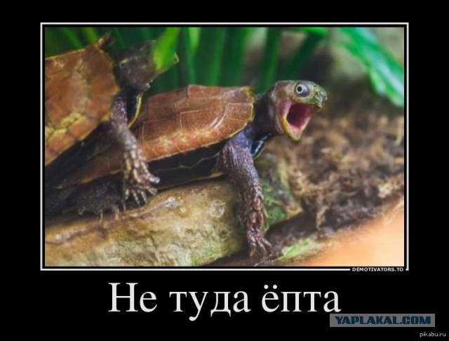 Анекдоты обо всем - Бодибилдинг форум AnabolicShops