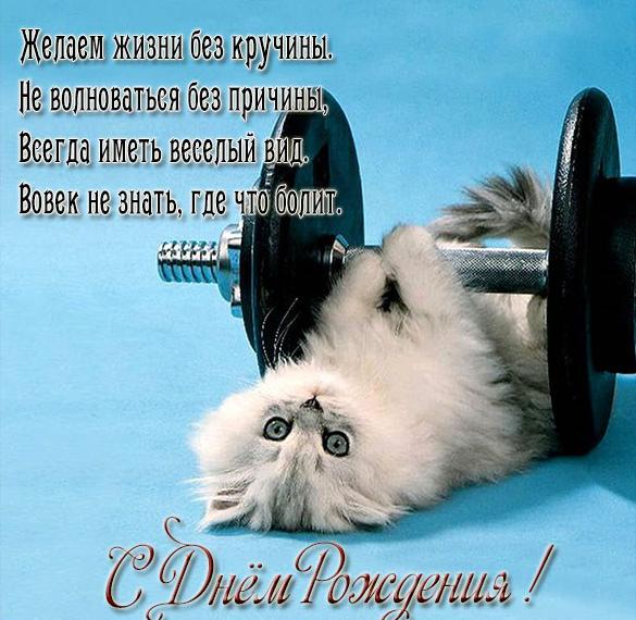 АНАБОЛИКИ.net - оф.дилер SP, Zerox, Genetic, Magnus, Lyka ! - Бодибилдинг форум AnabolicShops