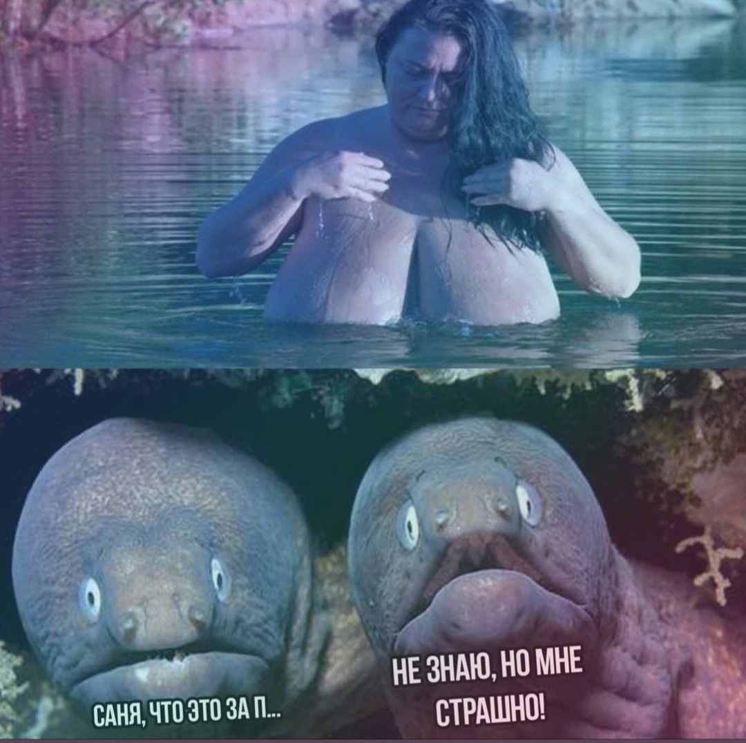 Анекдоты обо всем - Бодибилдинг форум AnabolicShops