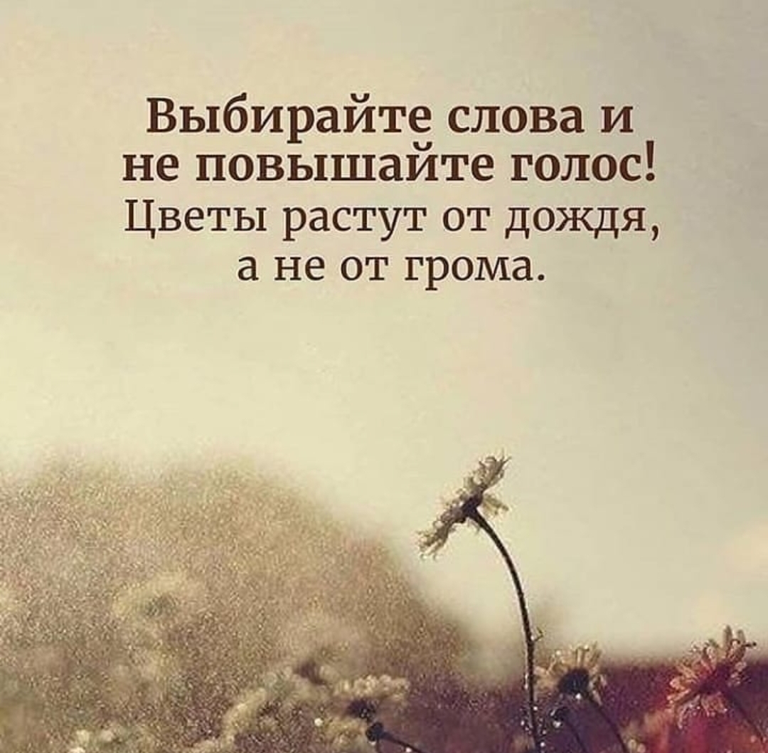 StoreGenerics.ru-Дженерики-все для ПКТ - Бодибилдинг форум AnabolicShops