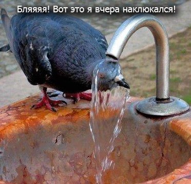 Курилка- разговоры на любые темы - Бодибилдинг форум AnabolicShops