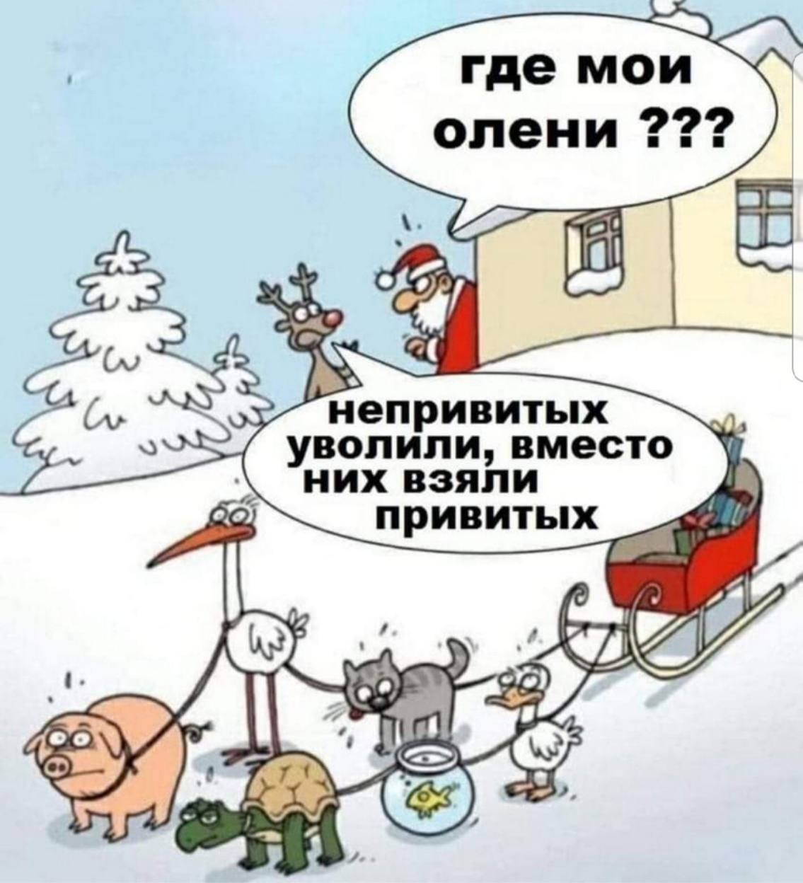 Курилка- разговоры на любые темы - Бодибилдинг форум AnabolicShops