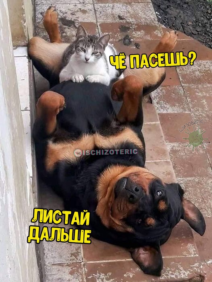 Курилка- разговоры на любые темы - Бодибилдинг форум AnabolicShops