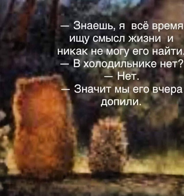 Курилка- разговоры на любые темы - Бодибилдинг форум AnabolicShops