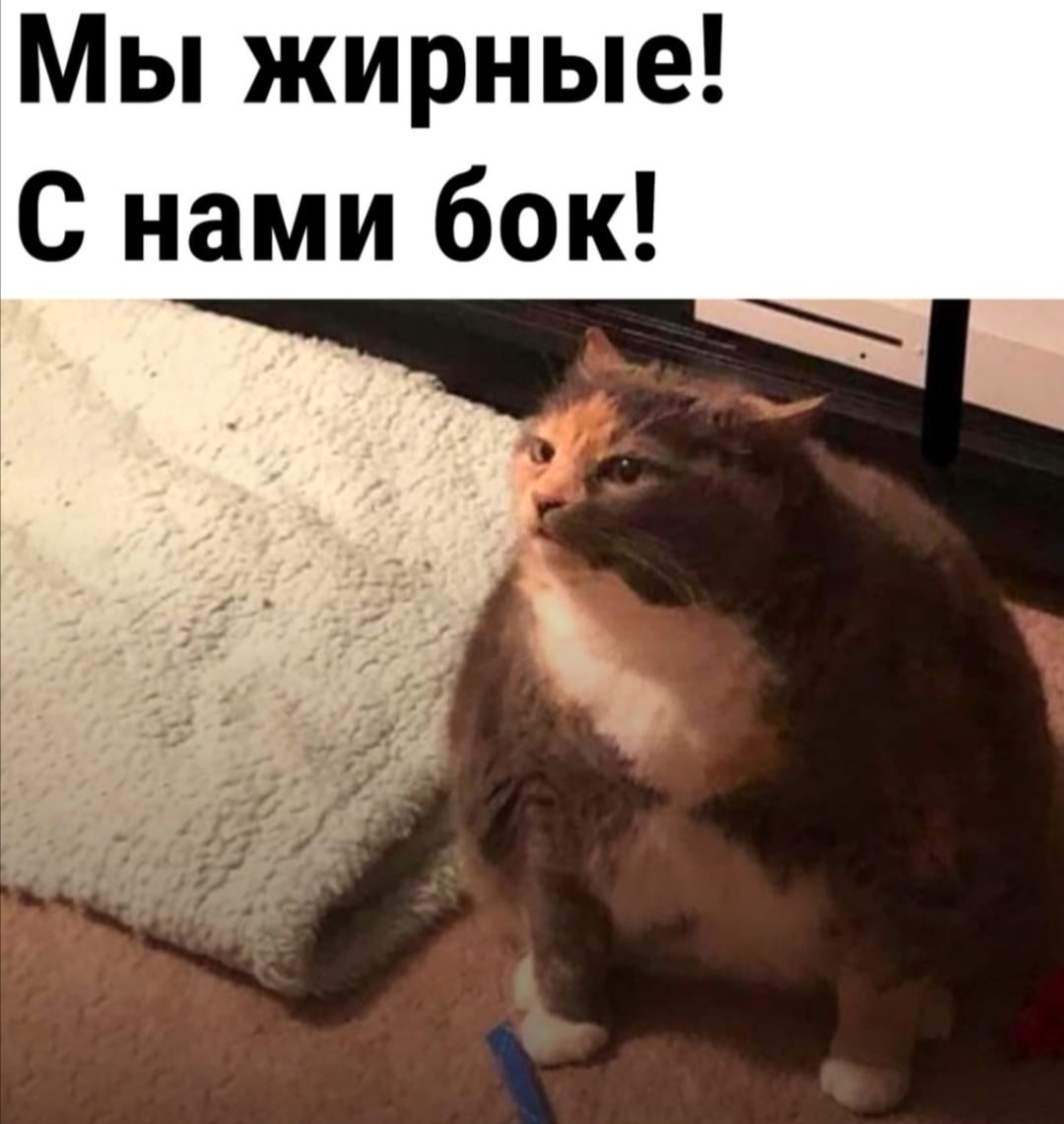 Курилка- разговоры на любые темы - Бодибилдинг форум AnabolicShops