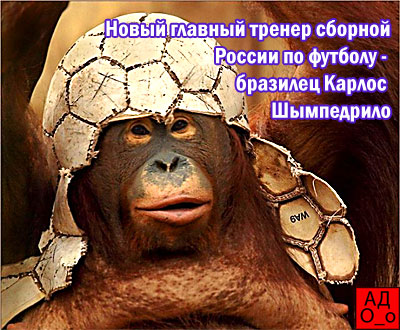 Анекдоты обо всем - Бодибилдинг форум AnabolicShops