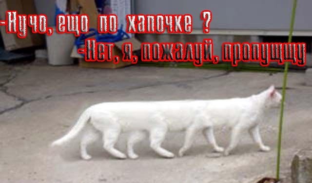 Анекдоты обо всем - Бодибилдинг форум AnabolicShops