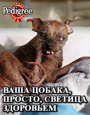 Анекдоты обо всем - Бодибилдинг форум AnabolicShops