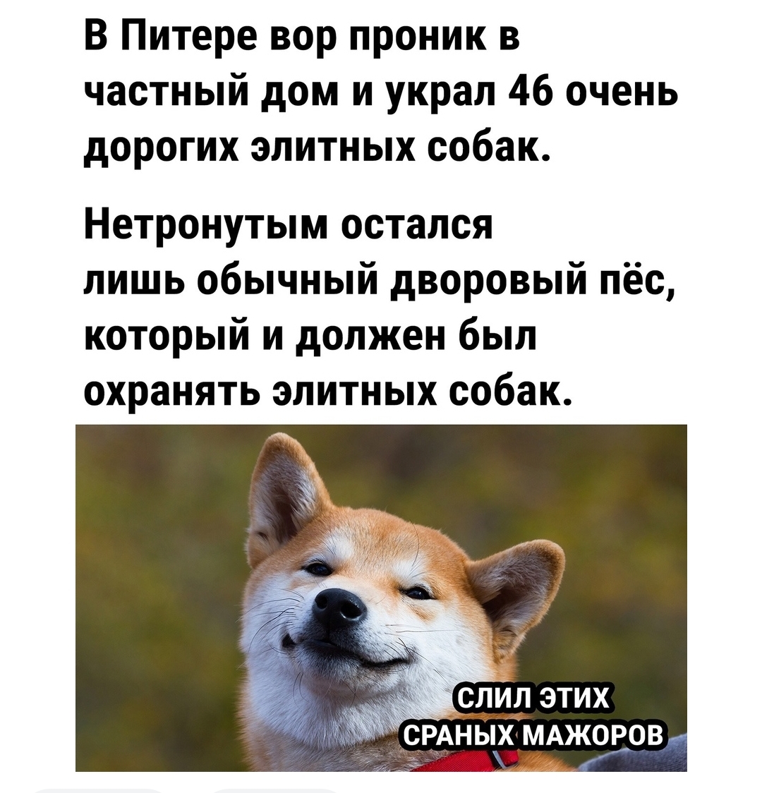 Курилка- разговоры на любые темы - Бодибилдинг форум AnabolicShops