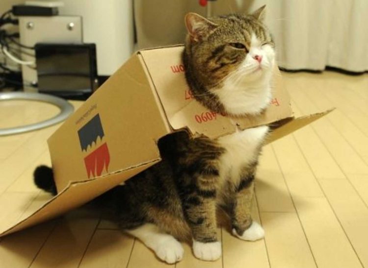 Курилка- разговоры на любые темы - Бодибилдинг форум AnabolicShops