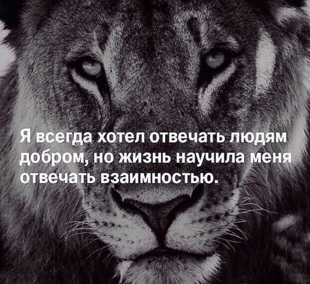 StoreGenerics.ru-Дженерики-все для ПКТ - Бодибилдинг форум AnabolicShops