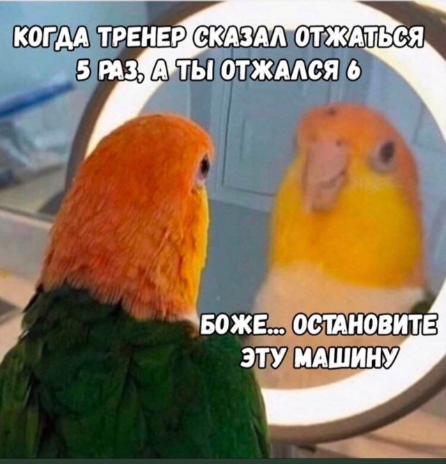 Курилка- разговоры на любые темы - Бодибилдинг форум AnabolicShops