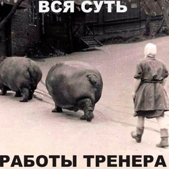 Жим, рекорд, элита и пожать четырех себя! - Бодибилдинг форум AnabolicShops