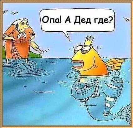 Анекдоты обо всем - Бодибилдинг форум AnabolicShops