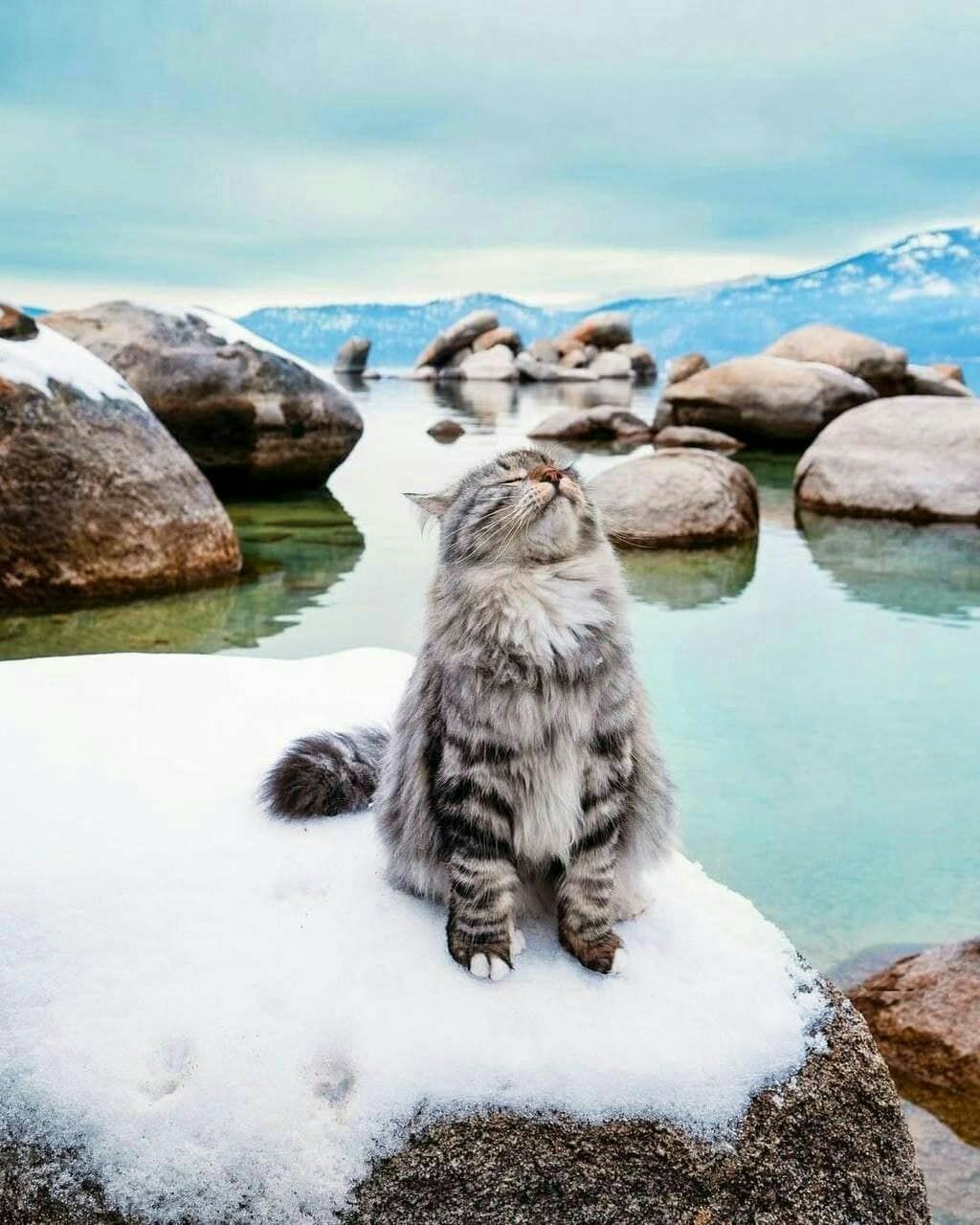 bestpharma.life - Бодибилдинг форум AnabolicShops