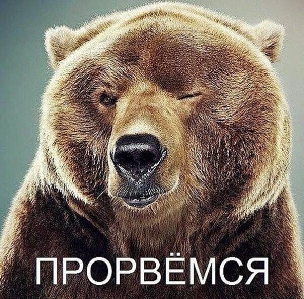 Жим, рекорд, элита и пожать четырех себя! - Бодибилдинг форум AnabolicShops