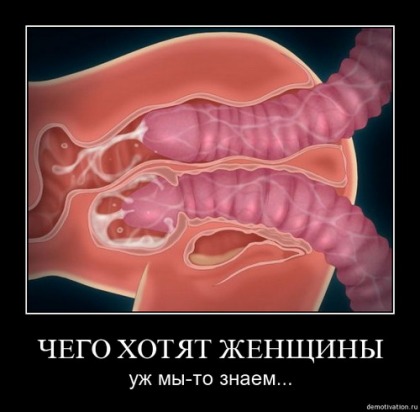 Анекдоты обо всем - Бодибилдинг форум AnabolicShops