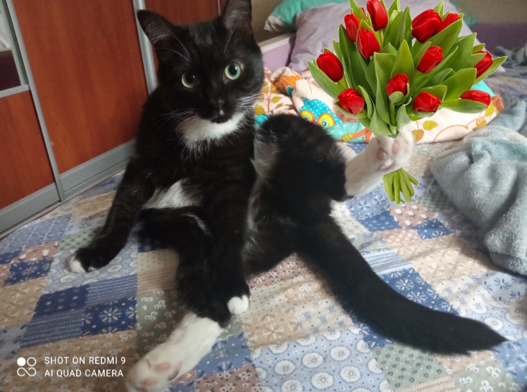 АНАБОЛИКИ.net - оф.дилер SP, Zerox, Genetic, Magnus, Lyka ! - Бодибилдинг форум AnabolicShops