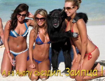 Курилка- разговоры на любые темы - Бодибилдинг форум AnabolicShops