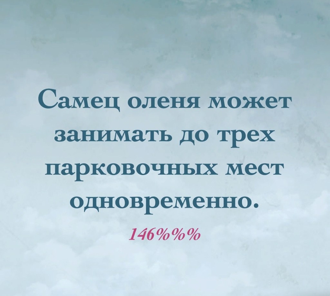 Анекдоты обо всем - Бодибилдинг форум AnabolicShops