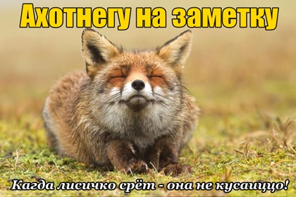 Анекдоты обо всем - Бодибилдинг форум AnabolicShops