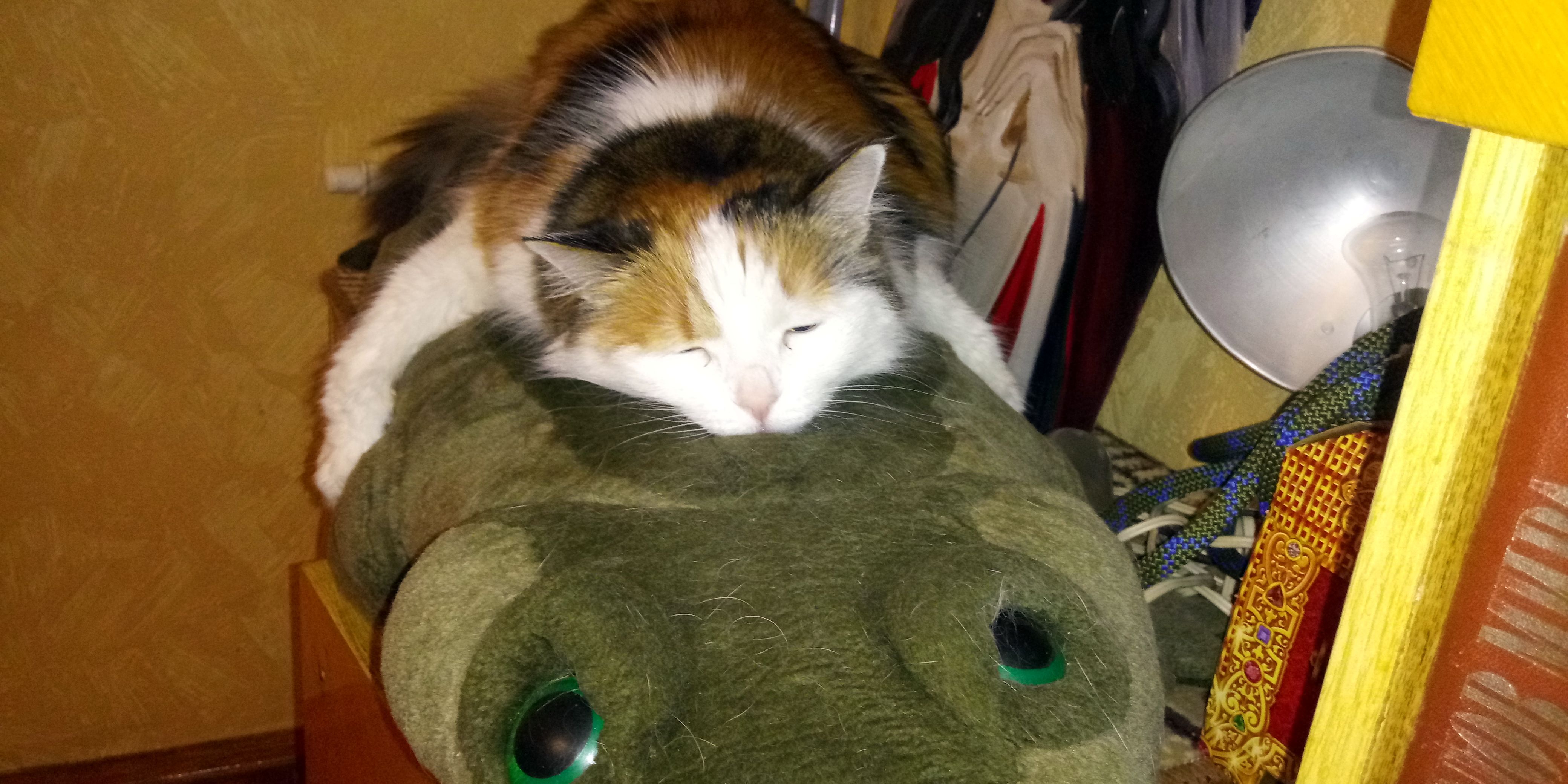 Курилка- разговоры на любые темы - Бодибилдинг форум AnabolicShops