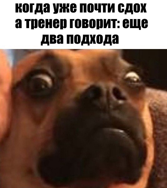 Жим, рекорд, элита и пожать четырех себя! - Бодибилдинг форум AnabolicShops