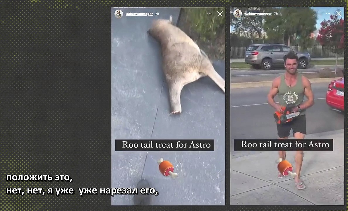 Калум фон Могер бензопилой разрезал кенгуру перед судом из-за метамфетамина - Бодибилдинг форум AnabolicShops