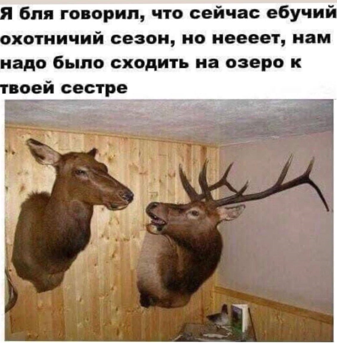 Курилка- разговоры на любые темы - Бодибилдинг форум AnabolicShops