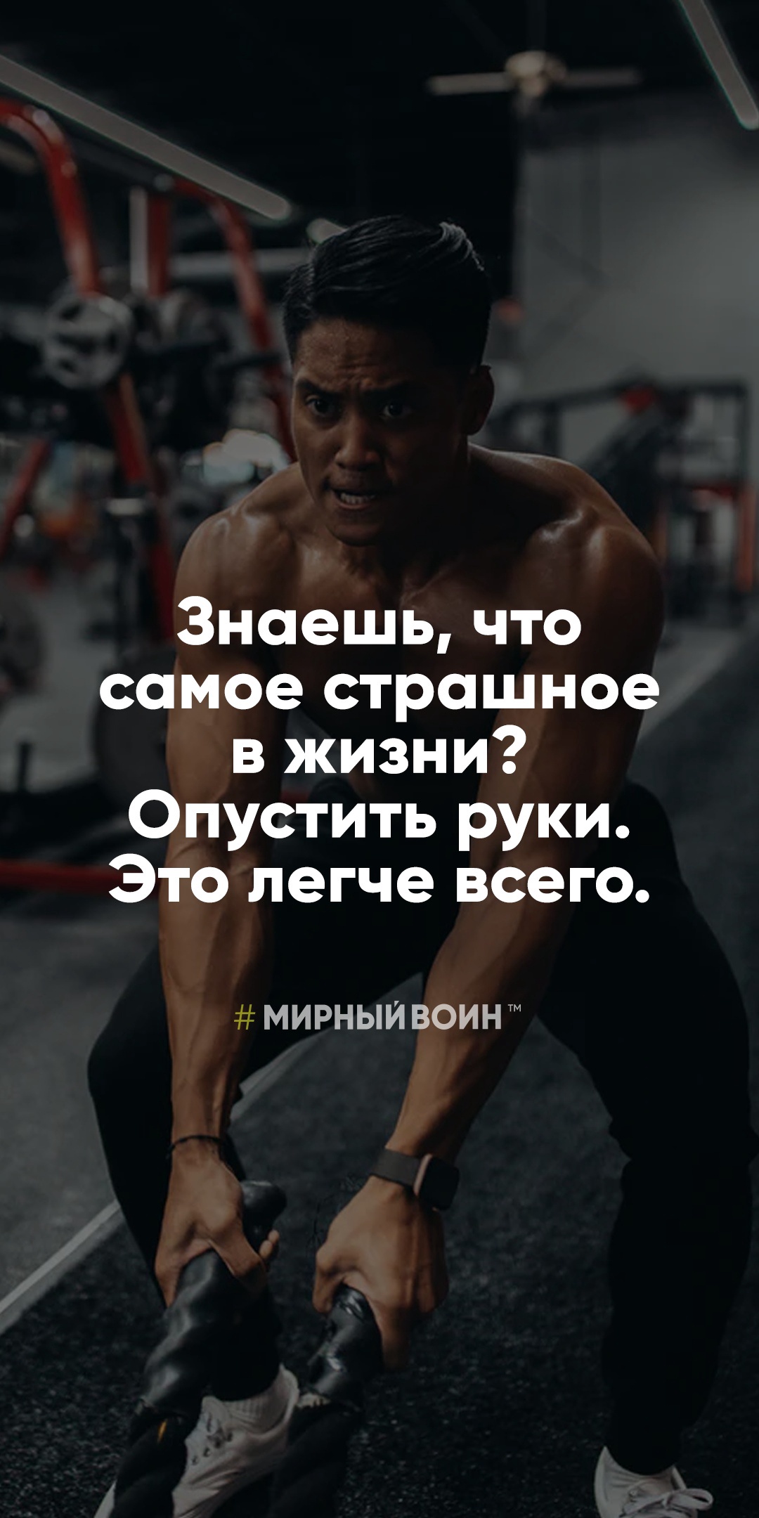 StoreGenerics.ru-Дженерики-все для ПКТ - Бодибилдинг форум AnabolicShops