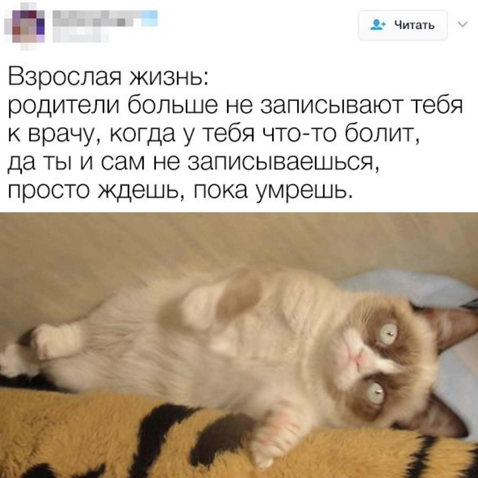 Анекдоты обо всем - Бодибилдинг форум AnabolicShops